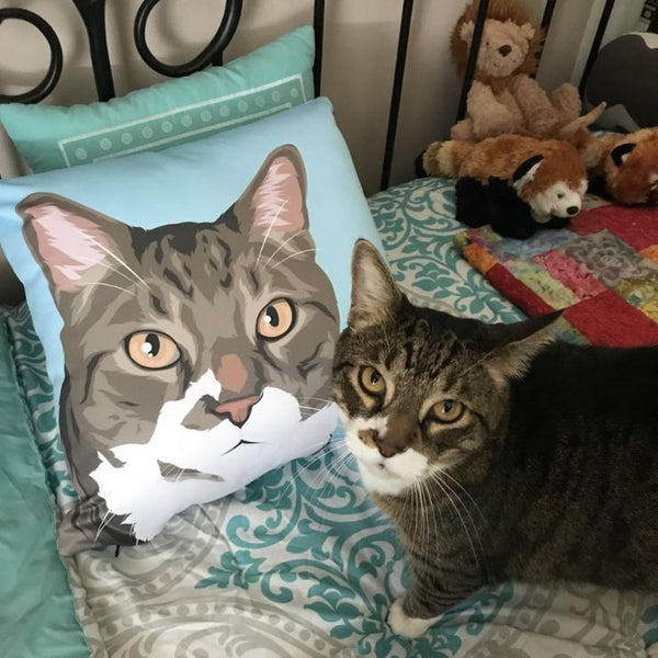 Custom Pet Couch Pillow with Cover