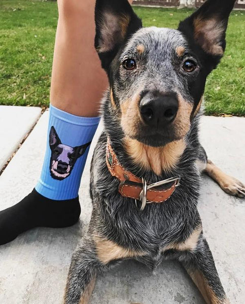 Custom Pet Socks