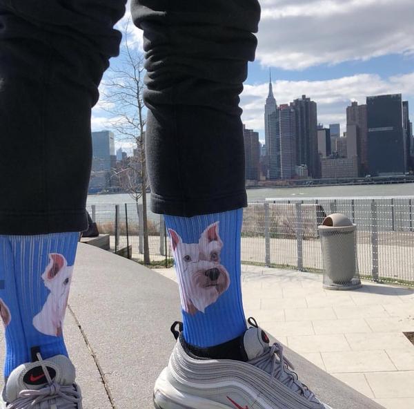 Custom Pet Socks