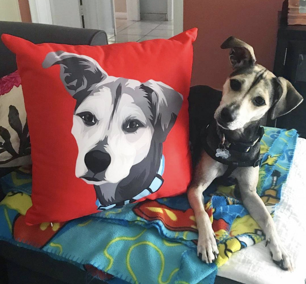Custom Pet Couch Pillow with Cover