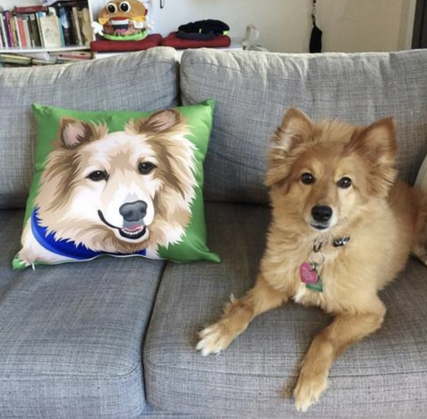 Custom Pet Couch Pillow with Cover